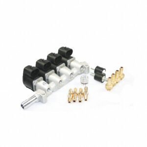 IG1 Apache (Giac 01) Rampa de inyección de 4 cilindros 2 Ohm