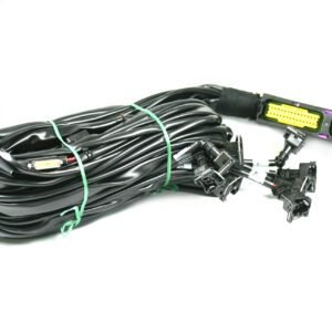 Landi Renzo Omegas arnés de cables de 5/6/8 cilindros